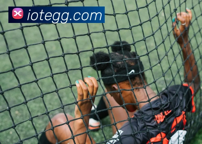 世界杯官网登录app平台生态图