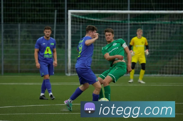 世界杯官网登录app全站App